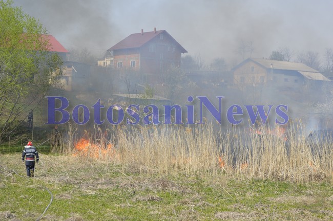 pomperi incendiu vegetatie stuf botosani1