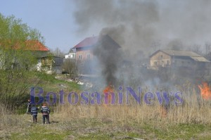 pomperi incendiu vegetatie stuf botosani2