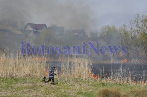 pomperi incendiu vegetatie stuf botosani3