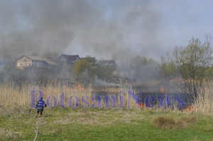 pomperi incendiu vegetatie stuf botosani4