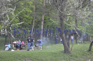 gratar 1 mai iarba verde botosani