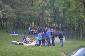 gratar 1 mai iarba verde botosani1