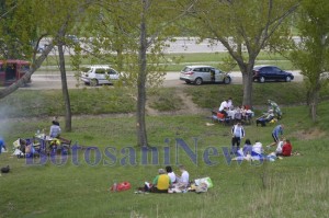 gratar 1 mai iarba verde botosani2