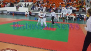 taekwondo botosani