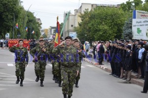 zi drapel botosani