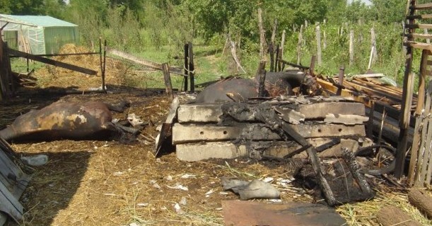 incendiu grajd Broscauti- Botosani