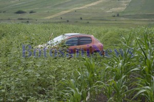 masina in lanul cu porumb