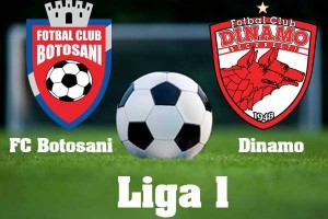 fc botosani- Dinamo bucuresti