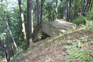 masa talharilor de la Cosula- Botosani