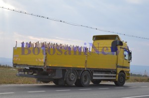 camion accident vladeni