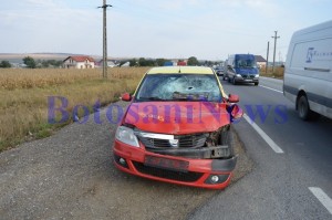 taxi accident vladeni