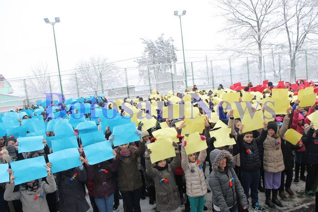 elevi steag pedagogic botosani