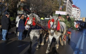 festivalul de datini si obiceiuri Botosani- 2015 006