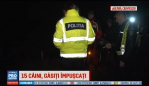 politie caini impuscati