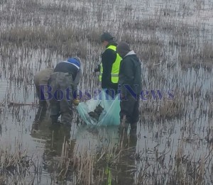 barbat gasit mort in iaz la Paltinis -Botosani