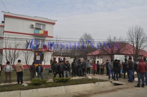 oieri in strada in comuna Mihalaseni- Botosani