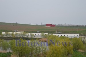 ferma porci zaicesti botosani