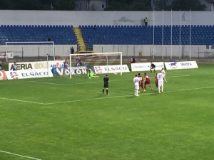 gol fc botosani