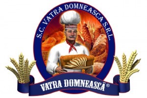 logo vatra domneasca