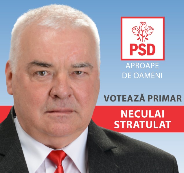 neculai stratulat