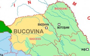 suceava botosani