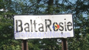 balta rosie lumina (4)