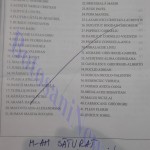 buletine de vot cu mesaje anulate alegeri locale 2016 1