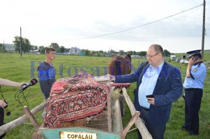 caruta porci dsvsa botosani1