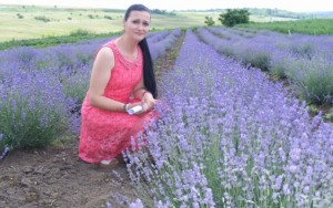 mihaela solog plantatie lavanda 1