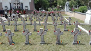 tricolor pus de Doina Federovici pe crucile eroilor din Cimitirul Pacea- Botosani