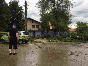 furtuna saveni- copac cazut peste masina