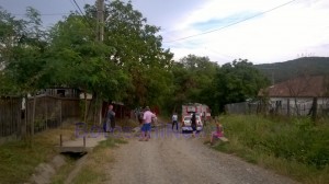 incendiu la o casa din tudora (2)