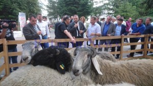 delegatie qatar popauti gheorghe flutur turcanu mihai 3