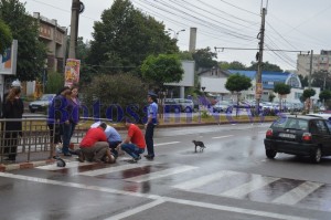 vw golf accident calea nationala1