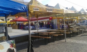 festivalul-verii-1