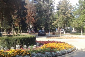 masina-parcata-in-parcul-tineretului-botosani