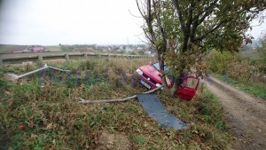 accident-manastirea-doamenie-masina-in-copac2