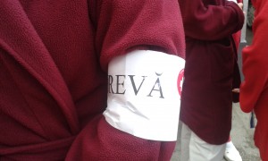 greva sanatate