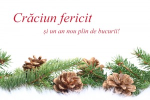 felicitare-craciun-9