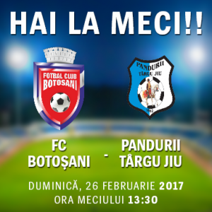 meci FC Botosani- Pandurii Tg Jiu 