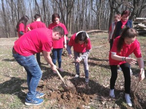 tsd- psd impaduriri - botosani- corni