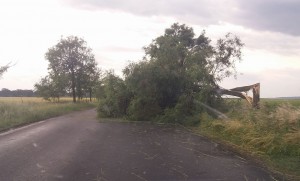 copac rupt pe drumul national dorohoi- darabani- botosani