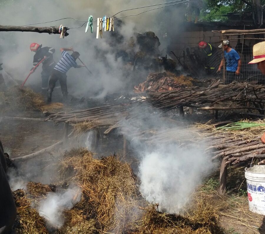 incendiu furaje prajeni botosani