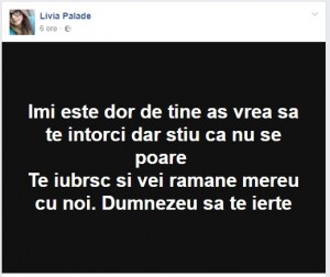 mesaj Livia Palade