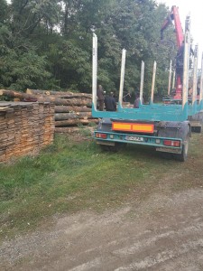 lemne confiscat