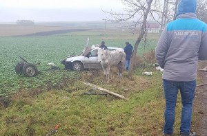 accident dorohoi, botosani