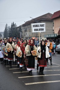 ansamblul poenita vorona