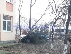 accident, internat at laurian, stiri, botosani 