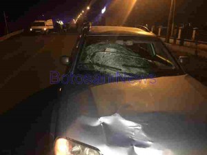 accident mortal dealu mare dorohoi 2