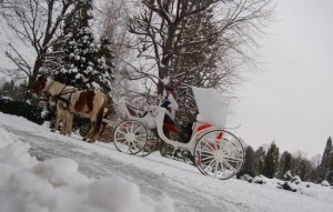 caleasca iarna, stiri, botosani